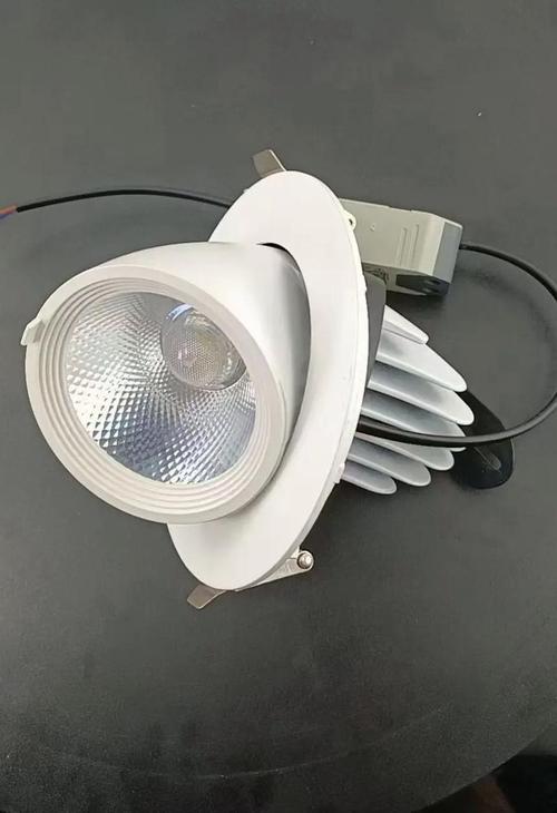 象鼻灯:多功能照明灯具的未来之星 